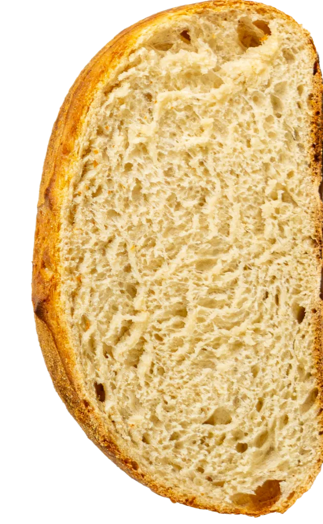 pan_de_ajo_san.webp