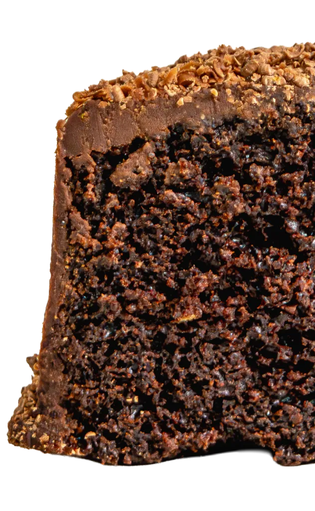pet_chocolate_san.webp
