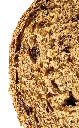 sangradas.webp