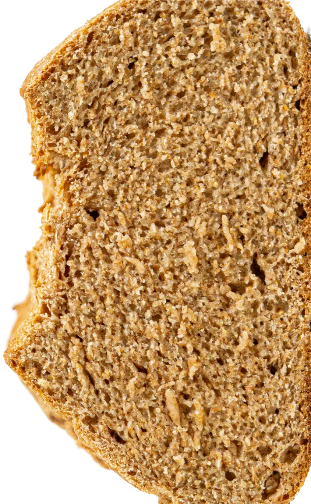 bga_100_sang.webp
