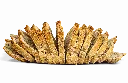 semilla_y_cereales_prod.webp