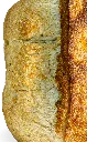 bga_semi_sang.webp