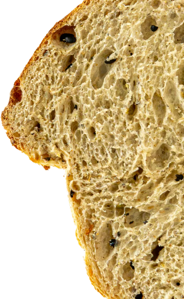 aceitunas_sang.webp