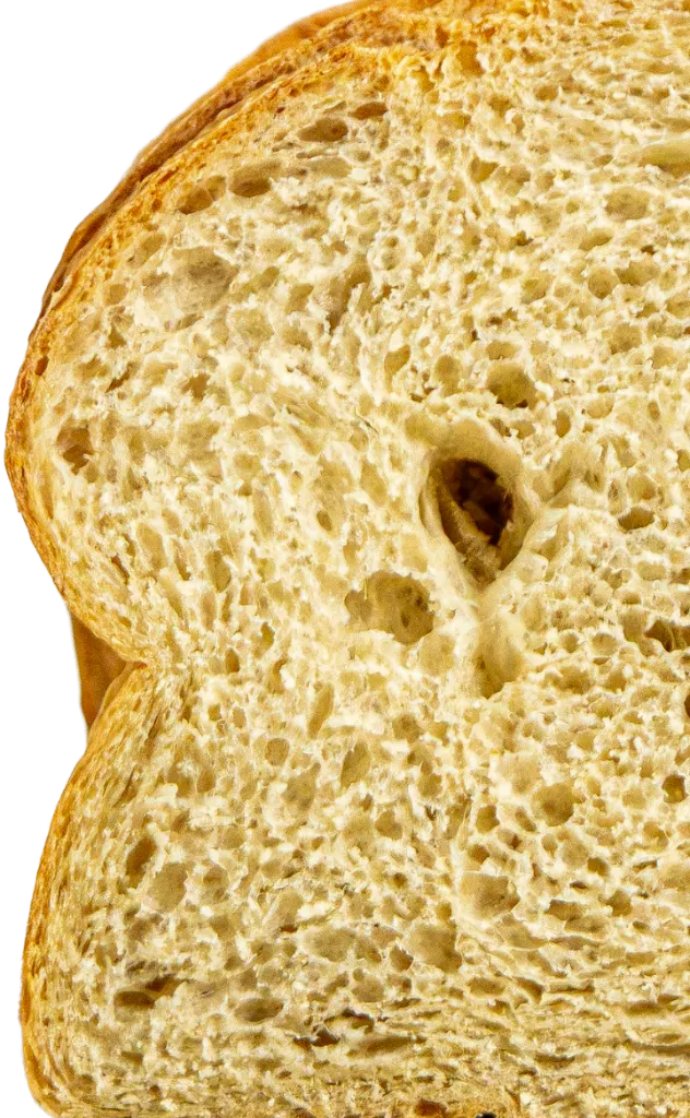pan_campo_sang.webp