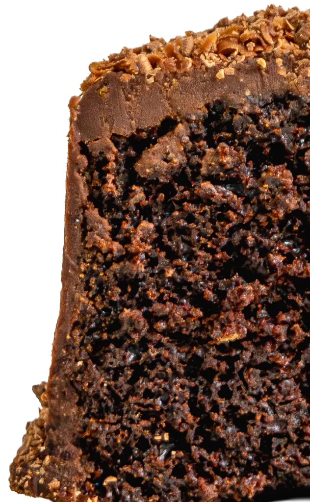 pet_chocolate_san.webp