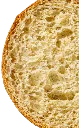 viena_sang.webp