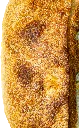 bga_semi_sang.webp