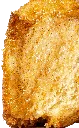 monkey_sang.webp