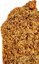 petite_banano_sang.webp