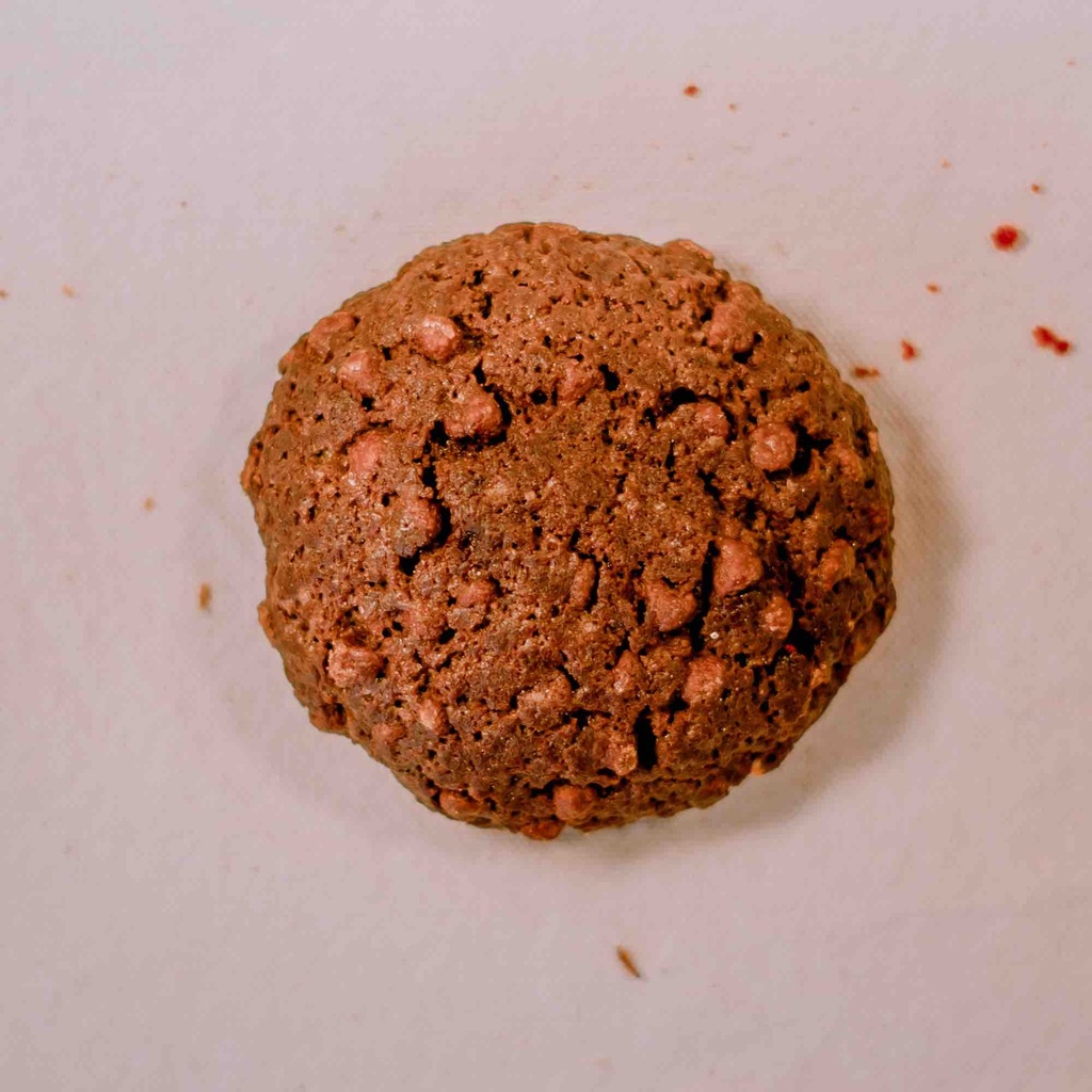 [PANN] Galleta de chocolate