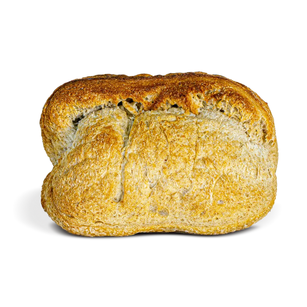 Bga Sourdough Semintegral