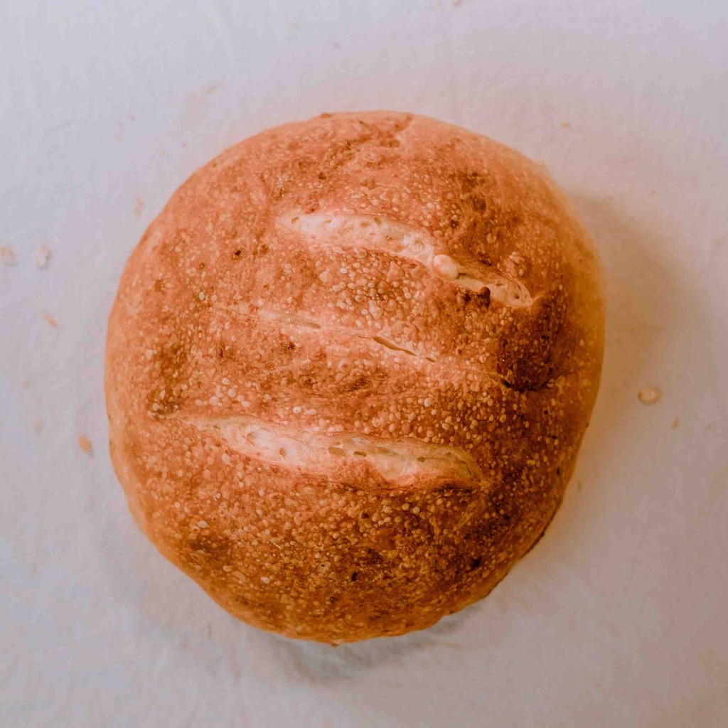 [PDQP] Pan de Queso Paipa