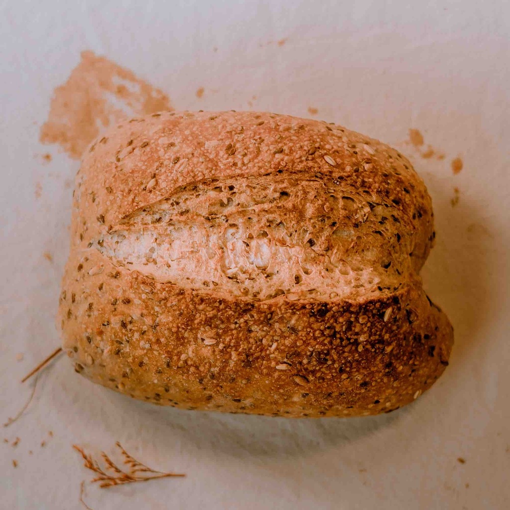 [PANN] Semillas y cereales